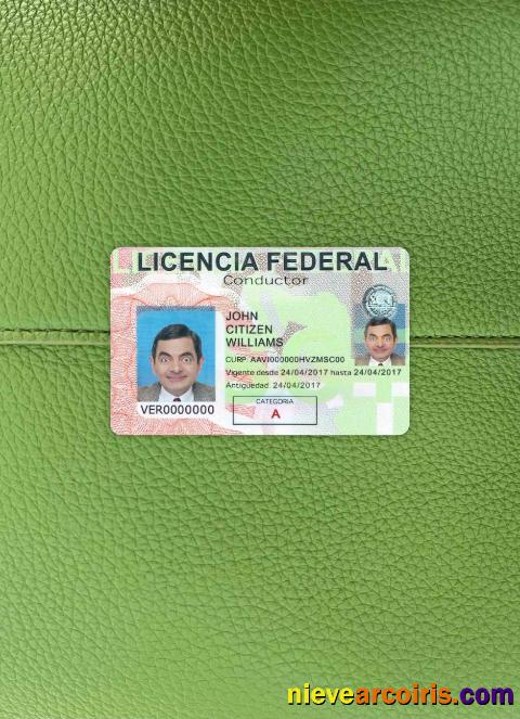 Mexico driving license photolook